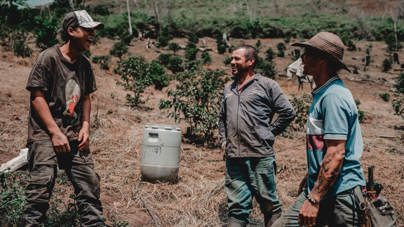 IMG-20250830-WA0036 (Mediana)