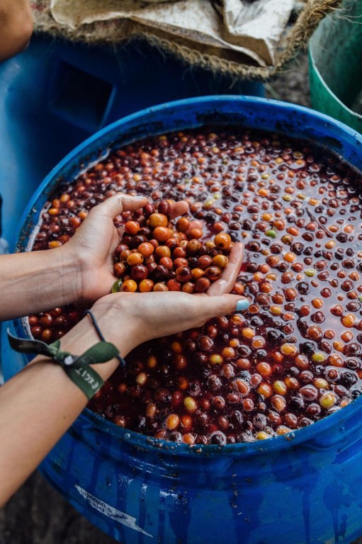 IMG-20250830-WA0038 (Mediana)