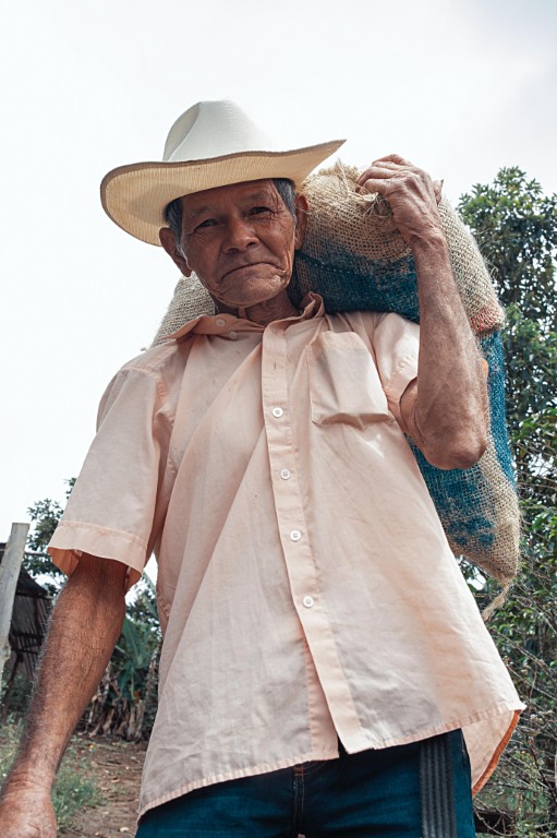 IMG-20250830-WA0039 (Mediana)