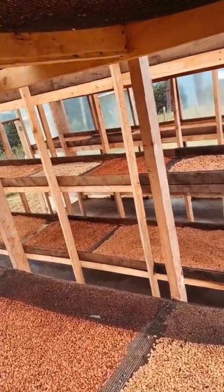 IMG-20250830-WA0040 (Mediana)