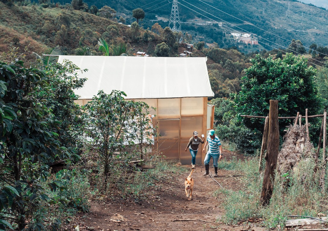 IMG-20250830-WA0042 (Mediana)